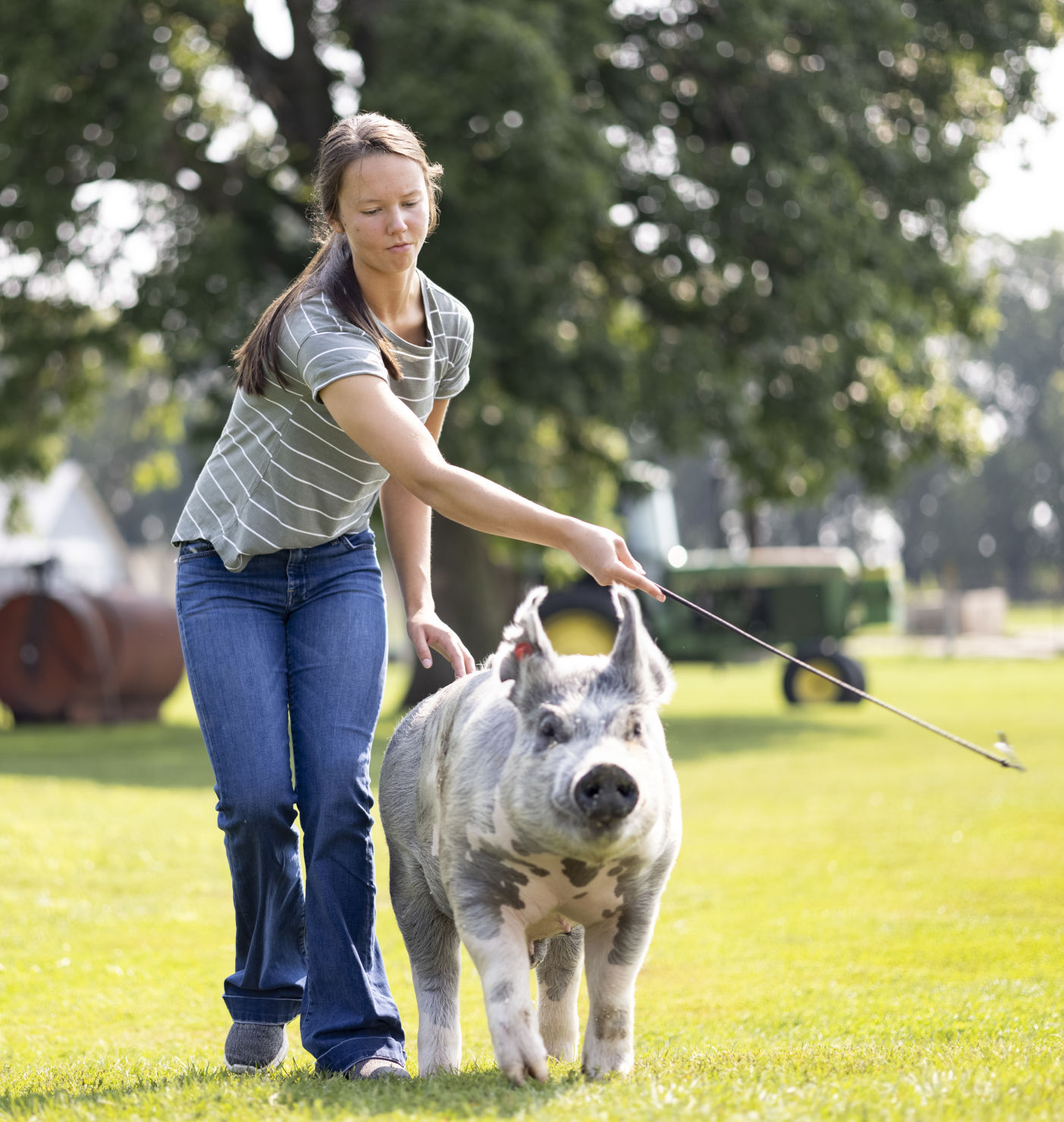 Plymouth County Fair Preview